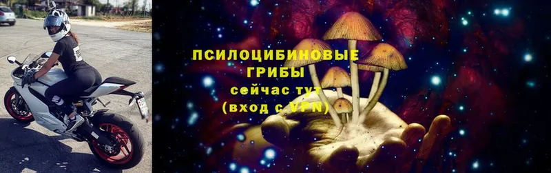 закладки  hydra tor  Галлюциногенные грибы MAGIC MUSHROOMS  Нариманов 